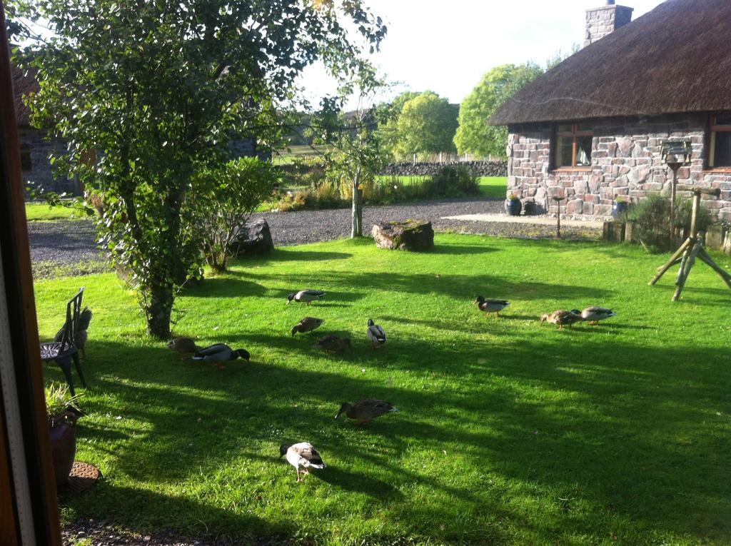 Clan Cottages Oban Quarto foto